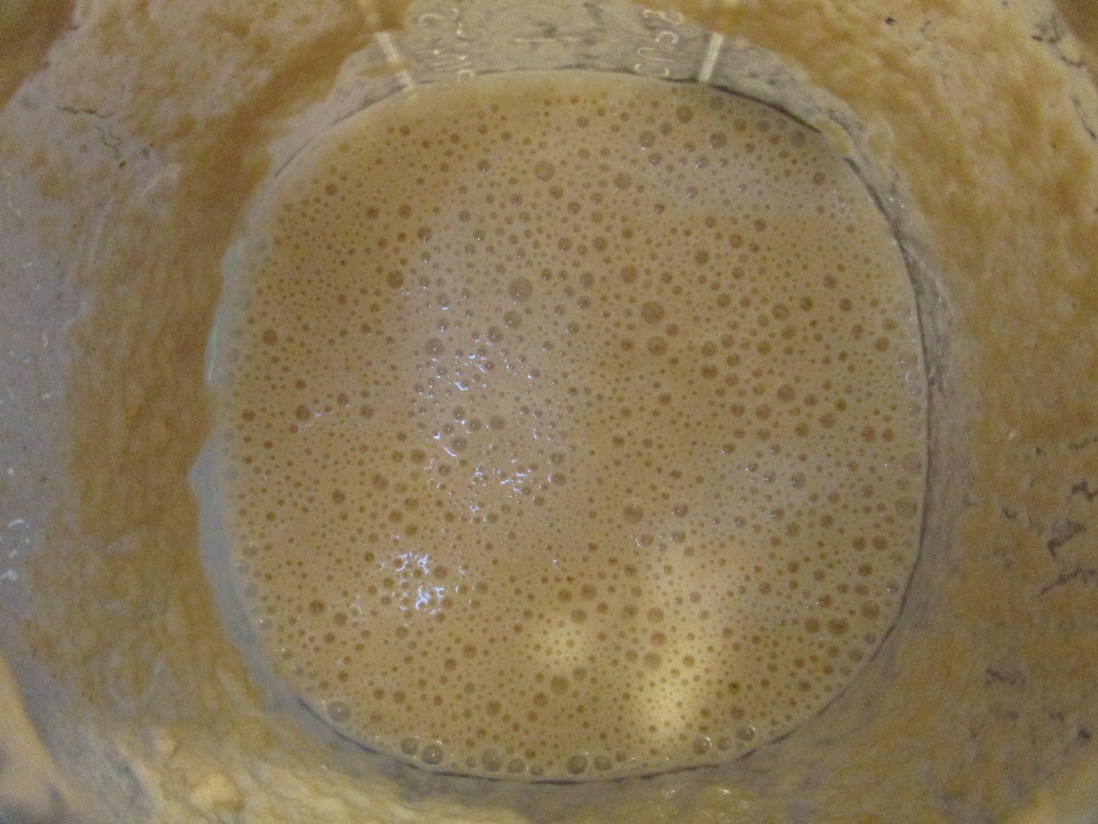 The Science Notebook : It's Alive! The Sourdough Experiment Part One