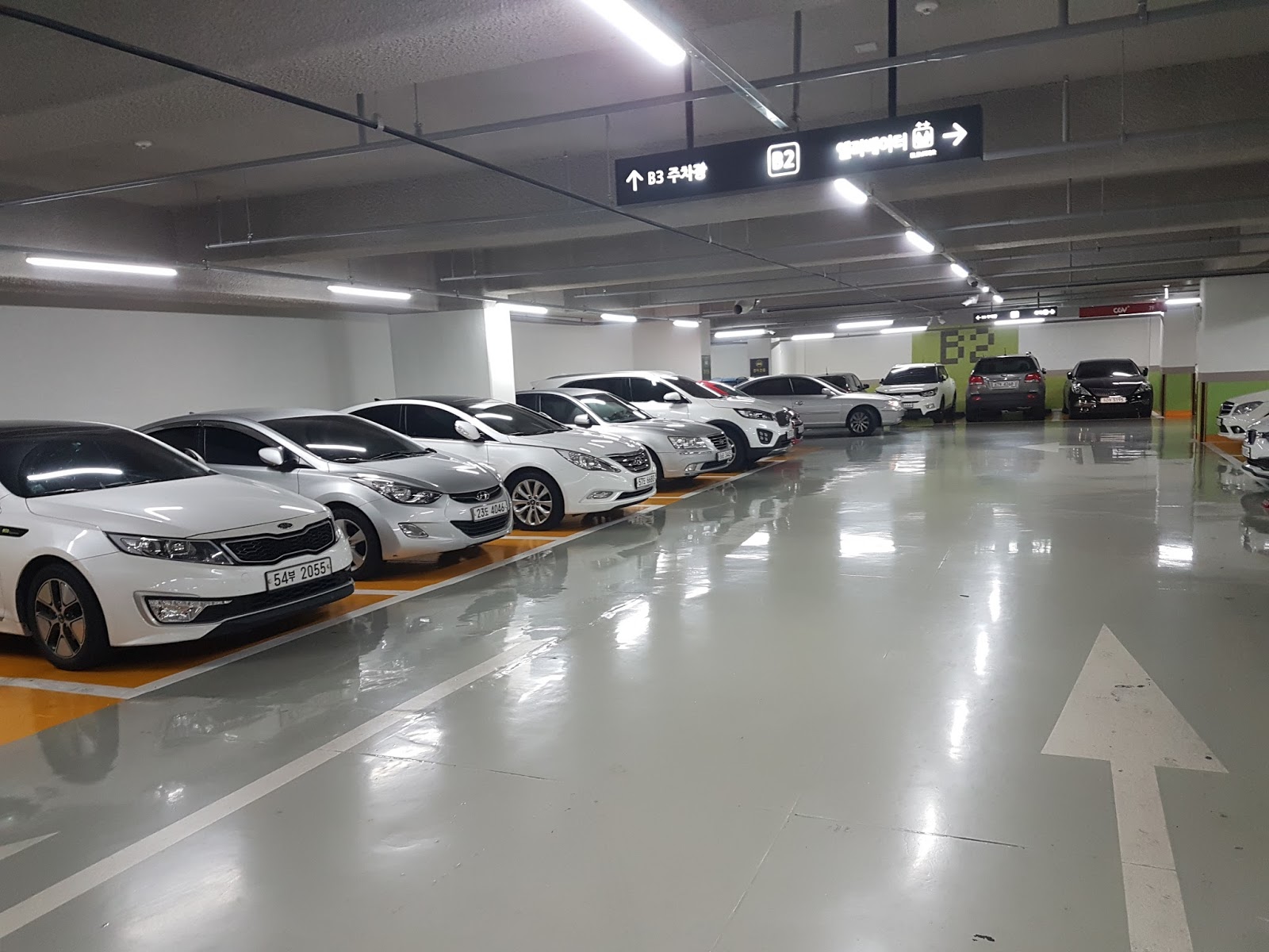 Felix In Korea Juli 2016