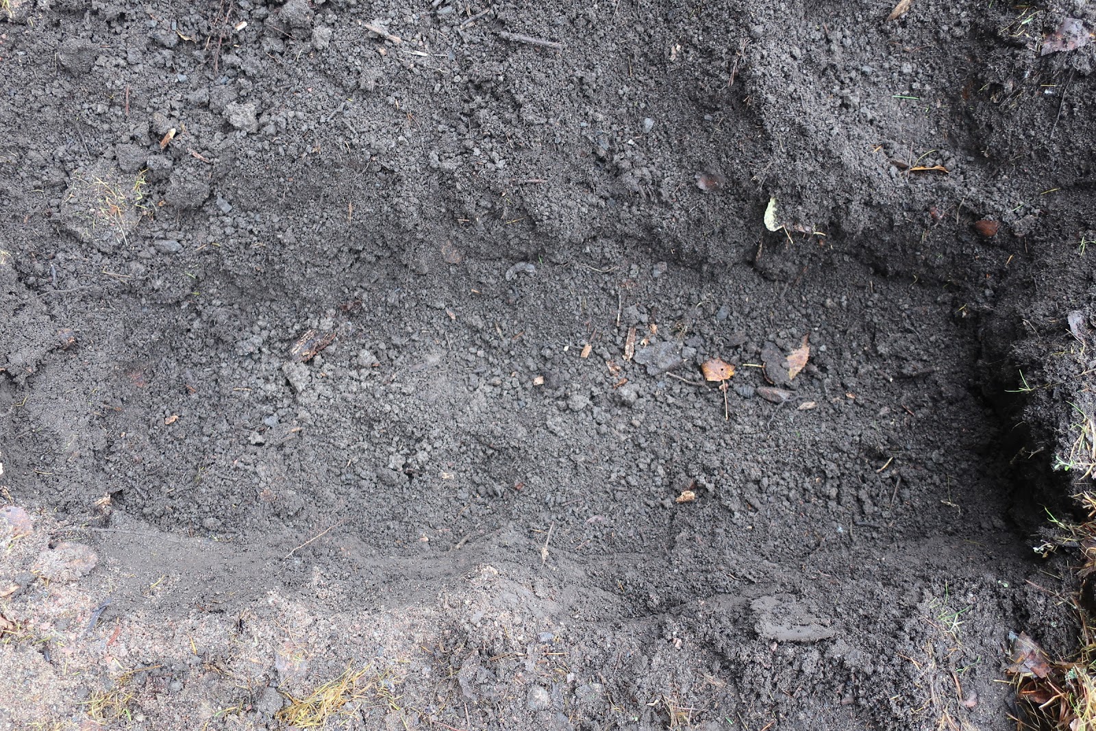 täydellinen babe galleriat