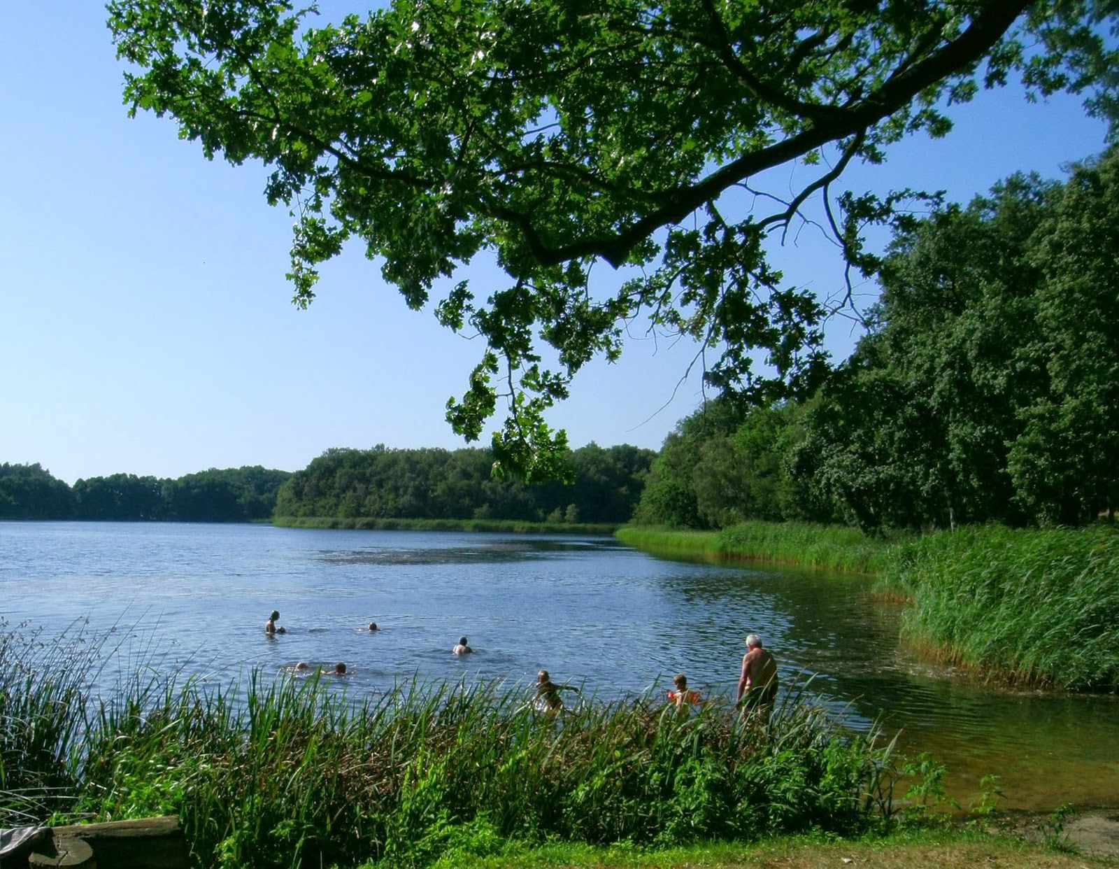Camping im Norden Wie man vom Camper zum Campingplatzbetreiber wird