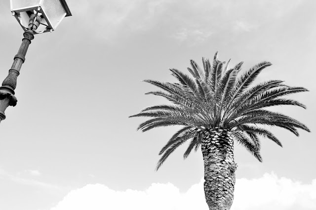 _DSC0151%2B%25282%2529.JPG