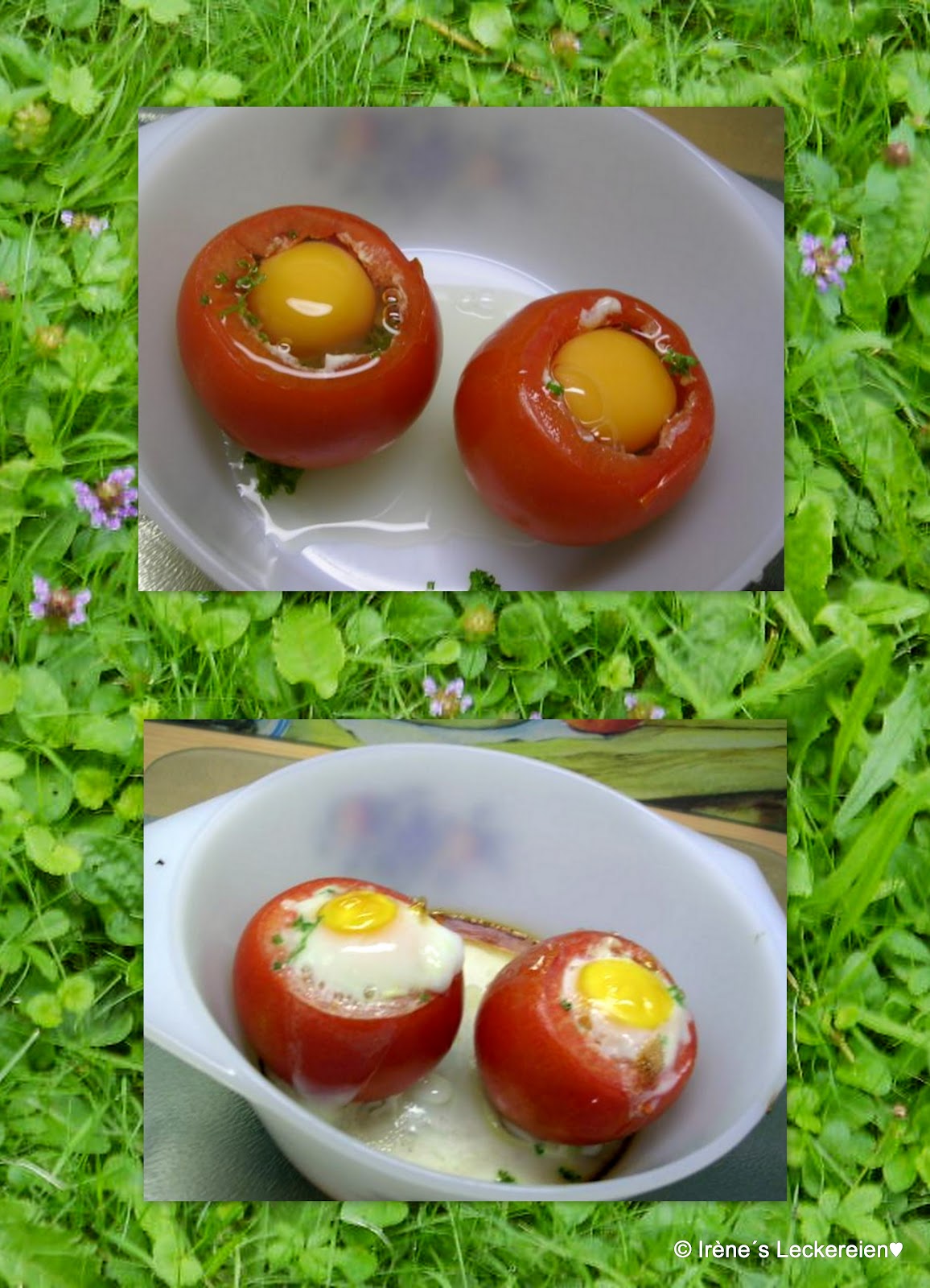 Irène`s Leckereien♥: Eier im Tomaten-Nest