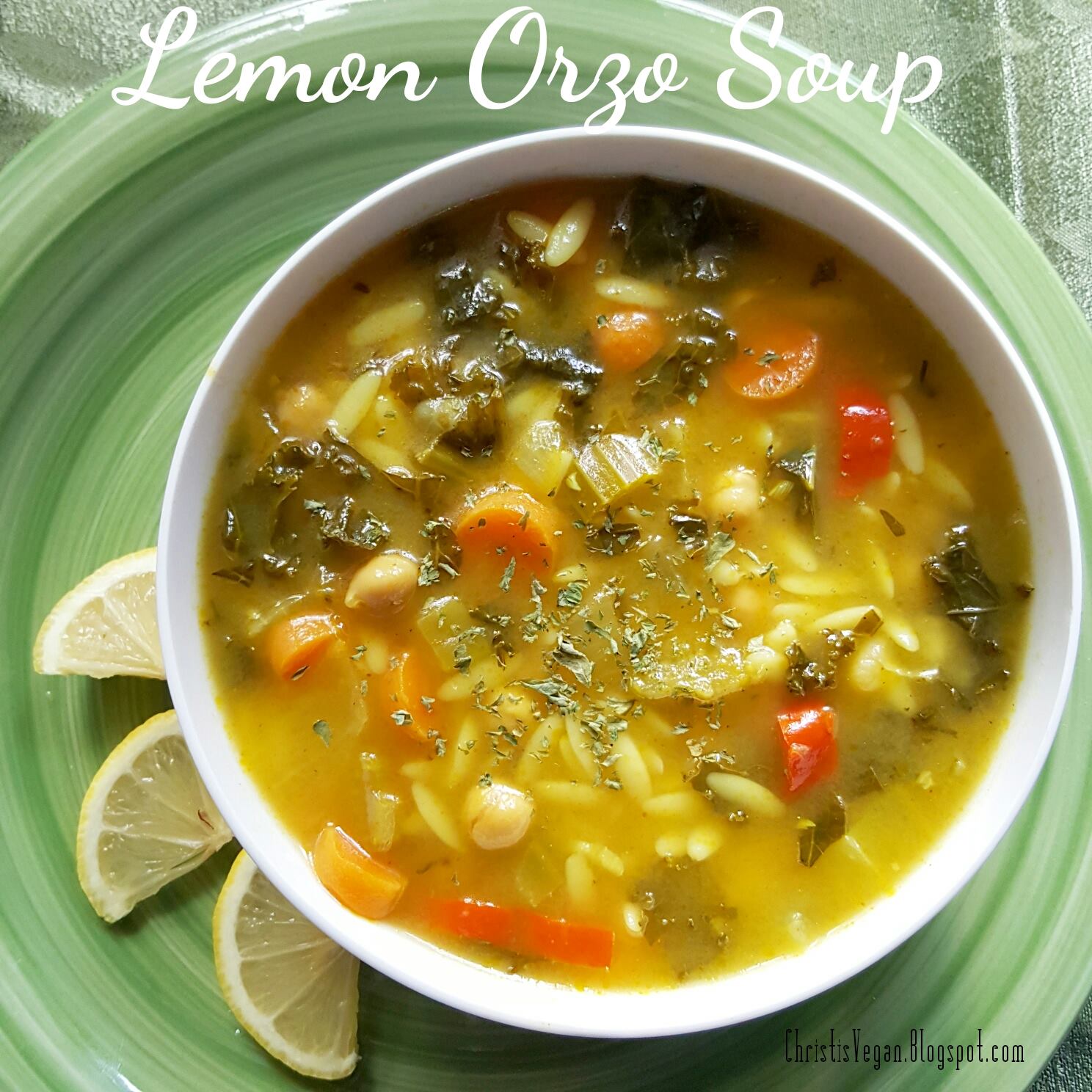 Christi's Vegan Life Lemon Orzo Soup