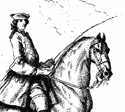 Behind The Bit Another Word About Barn Drama