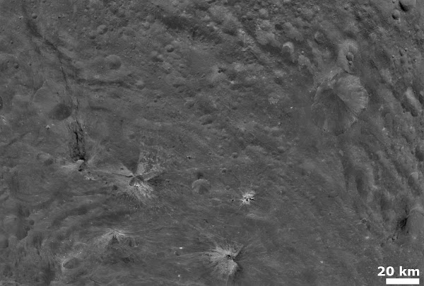 Astéroìdes - Vesta - Sonde orbitale transitoire Dawn / NASA, JPL