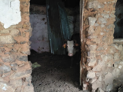 IMG20190113092431.jpg