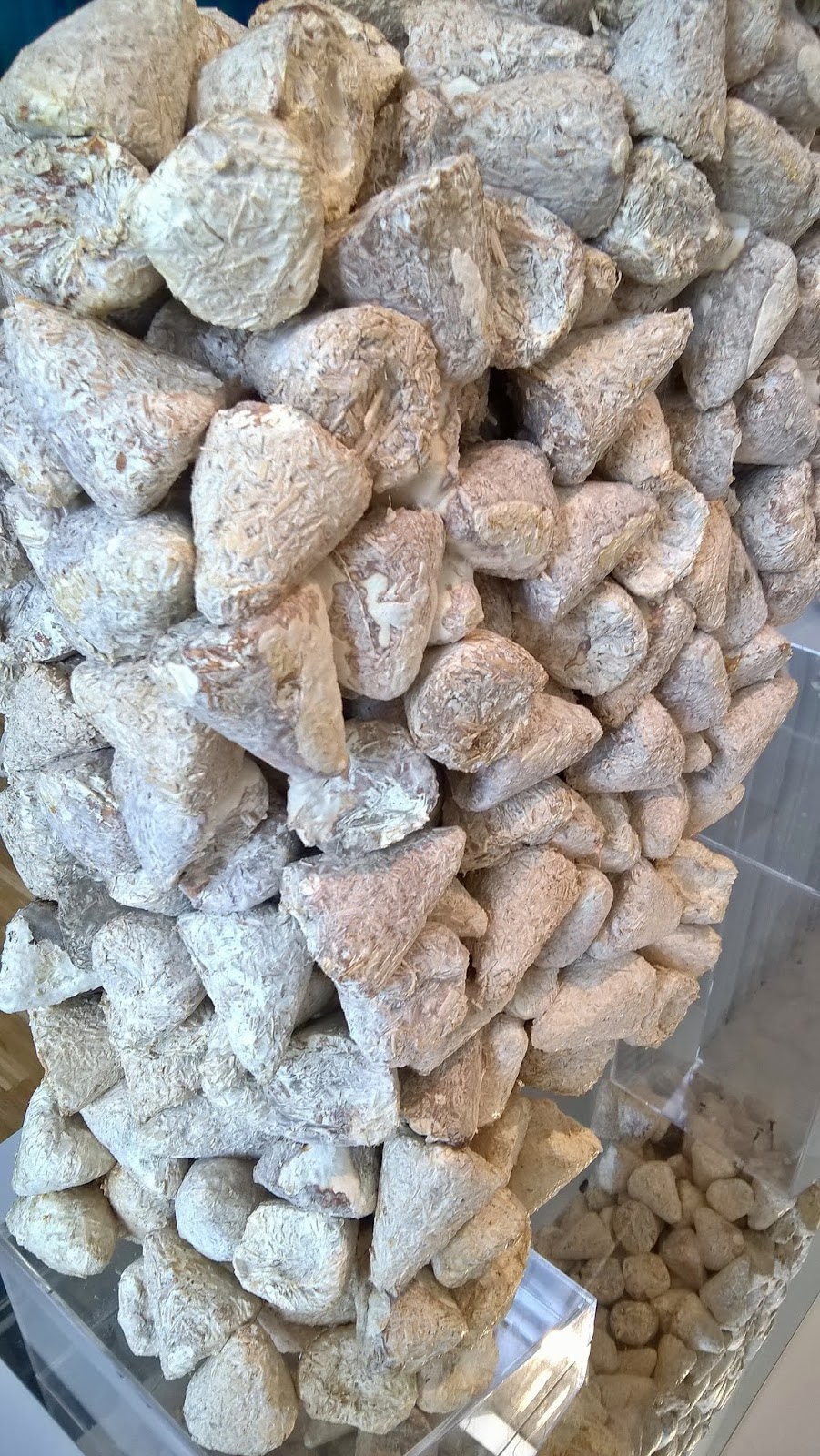 All4design Design4all April 2019