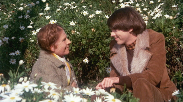 Projected Film: Harold and Maude Review