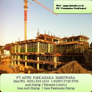 Jasa Pembasmi Rayap Di Surabaya Jakarta Semarang Bandung ...