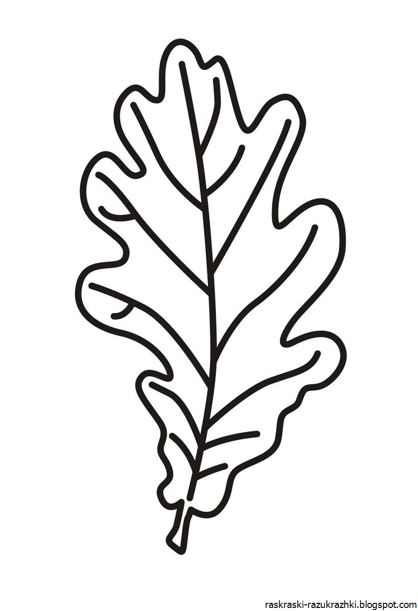 Лист дуба раскраска