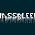 MassBleed - SSL Vulnerability Scanner