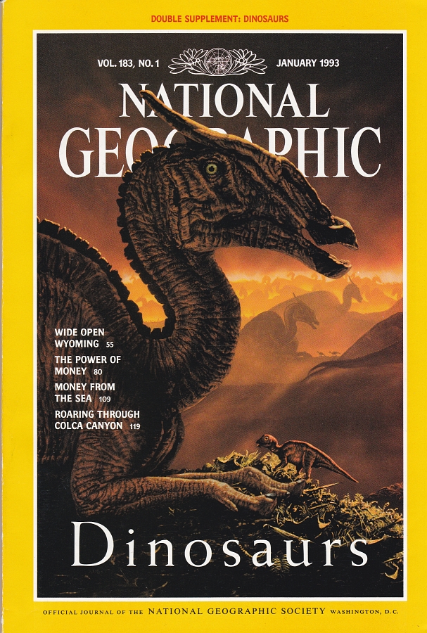 National Geographic Figurine Dinosaure stégosaure 