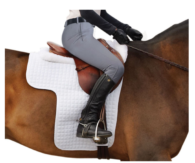 How To Train Your Dragon What Do Wednesday Spurs