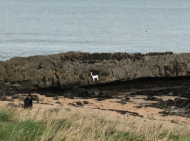 Stag Rocks - Bamburgh, Northumberland