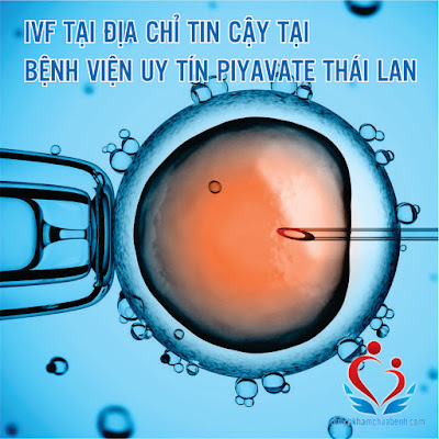 Thụ Tinh Trong Ống Nghiệm IVF Piyavate Thái Lan 2
