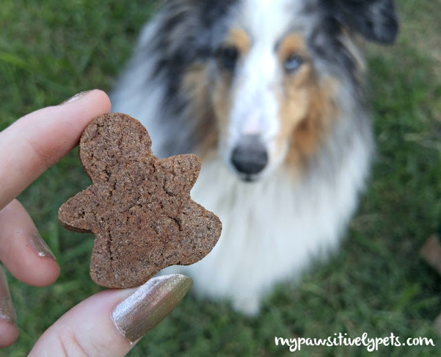 Fresh Baked Dog Treats from One Dog Organic Bakery Pawsitively Pets