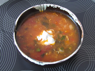 Ciorba taraneasca de pui  / Chicken Soup