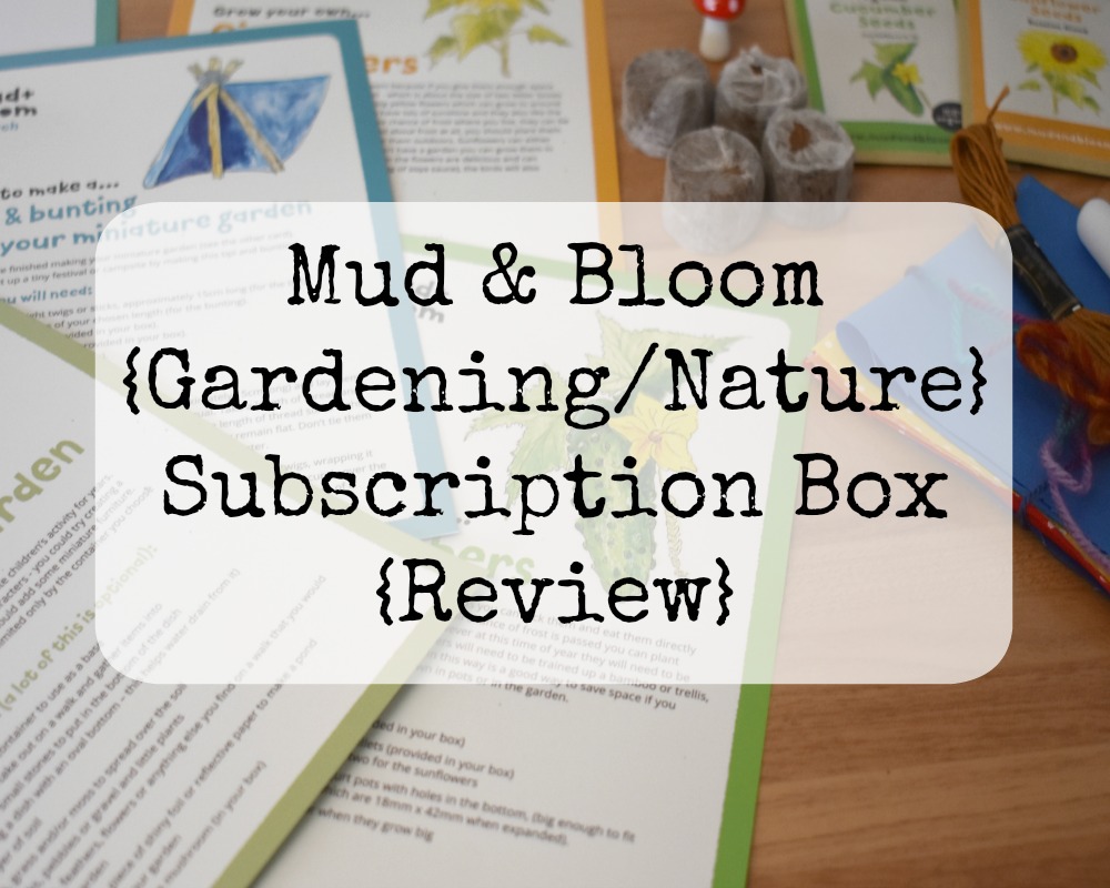 Mud & Bloom Subscription Box {Review} Whimsical Mumblings