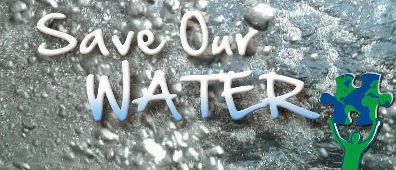 What You Can Do: Water Conservation podcasts with the Green Divas and ...
