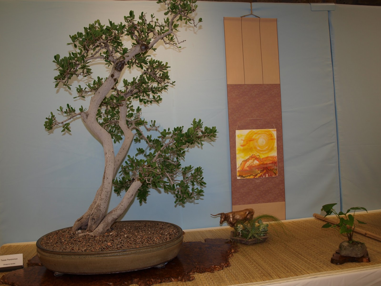 A Life Inspired by Nature Austin Bonsai Show