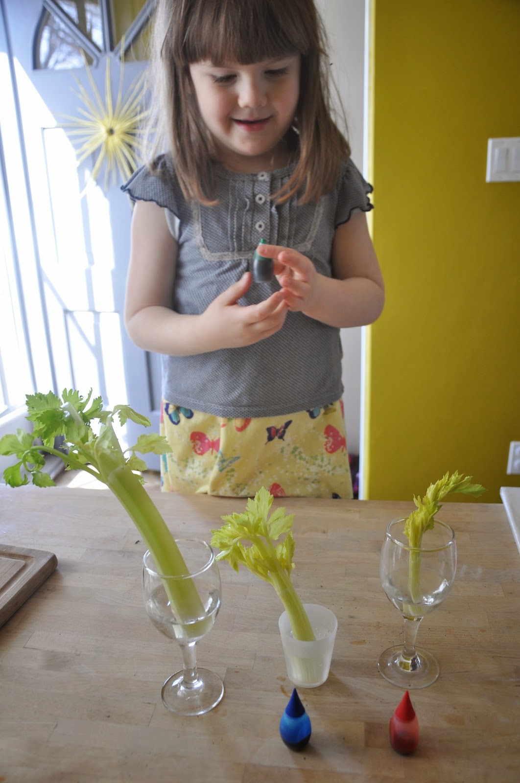Celery Science Capillary Action