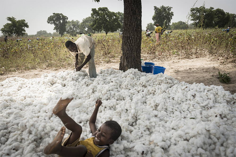 Parc Naturel Régional Scarpe Escaut