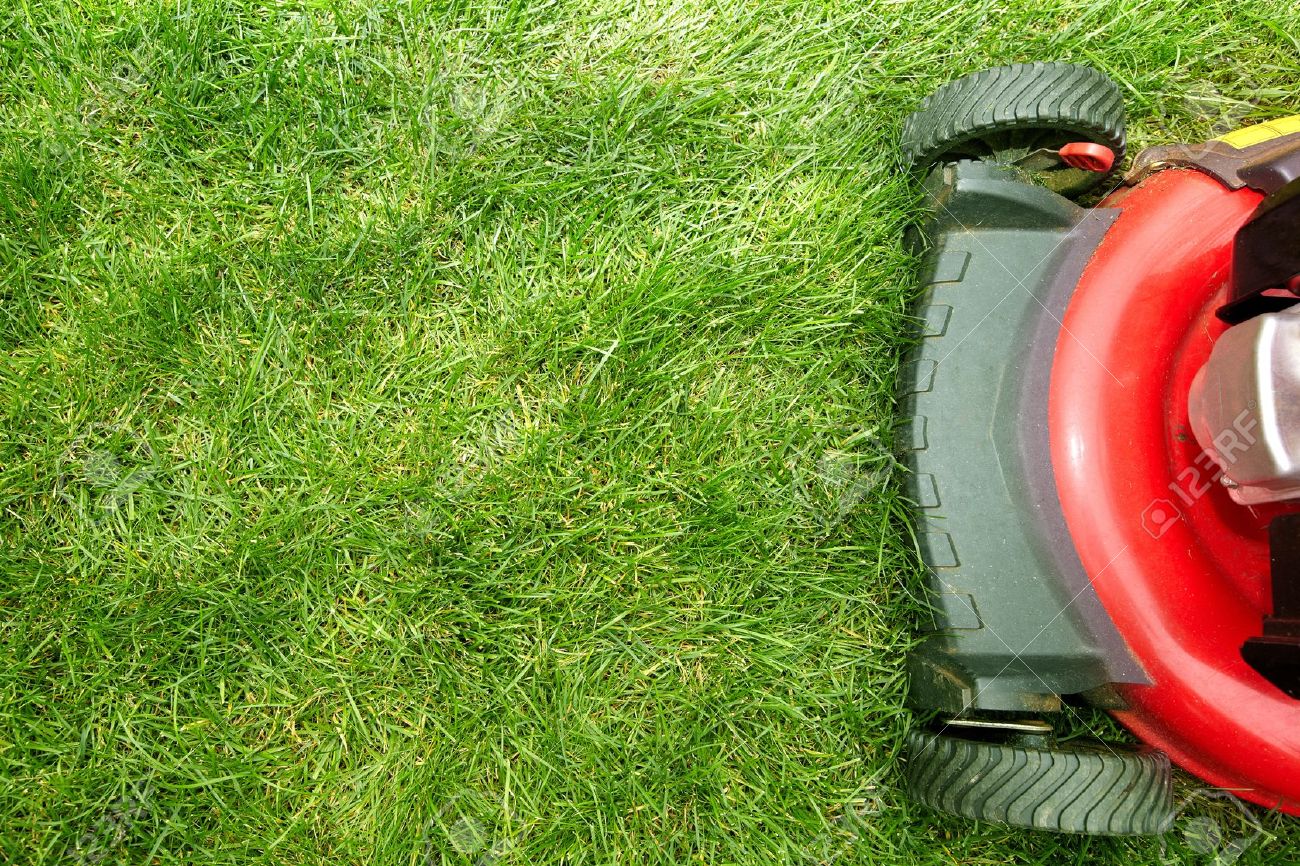 ETA Insurance Group Blog Lawn Care Safety Tips 101