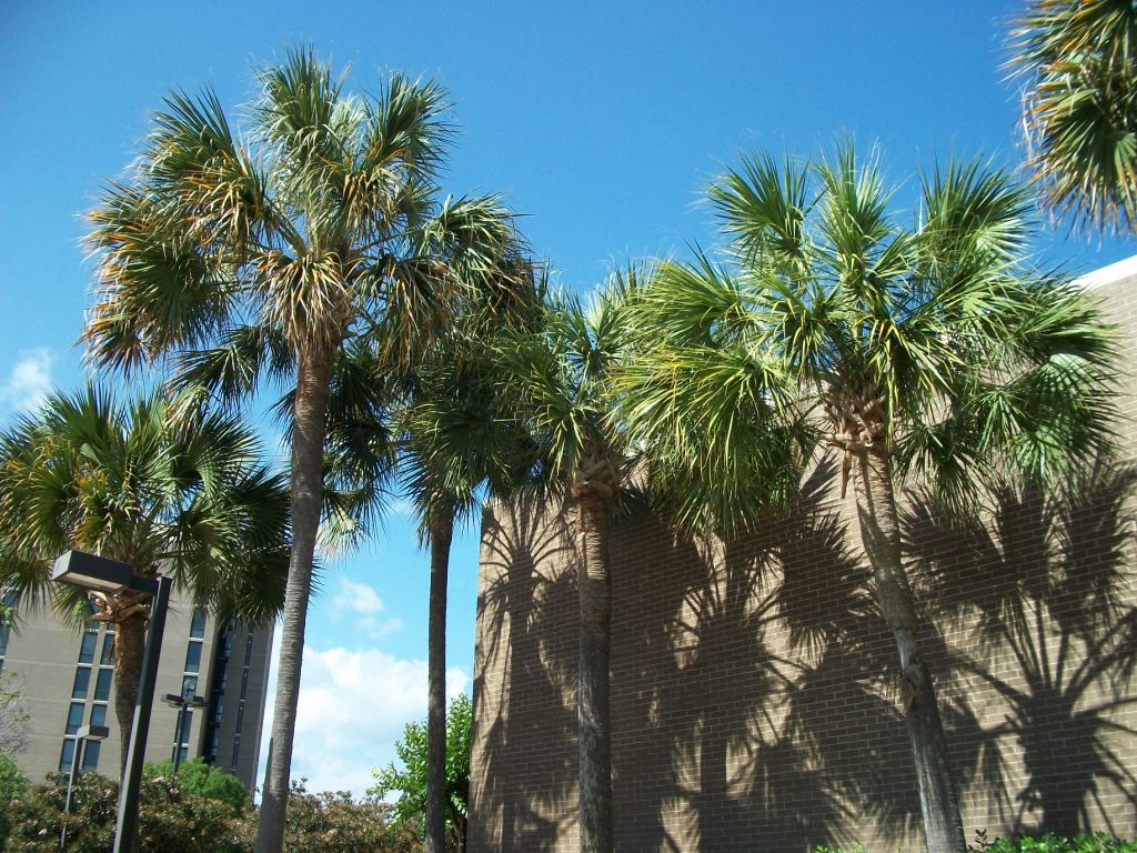 Adam and Katie Pensacola Beach