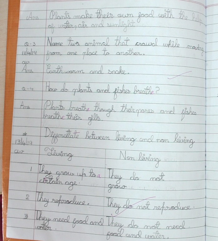 CLASS 3 EVS NOTEBOOK CLASS WORK CH1