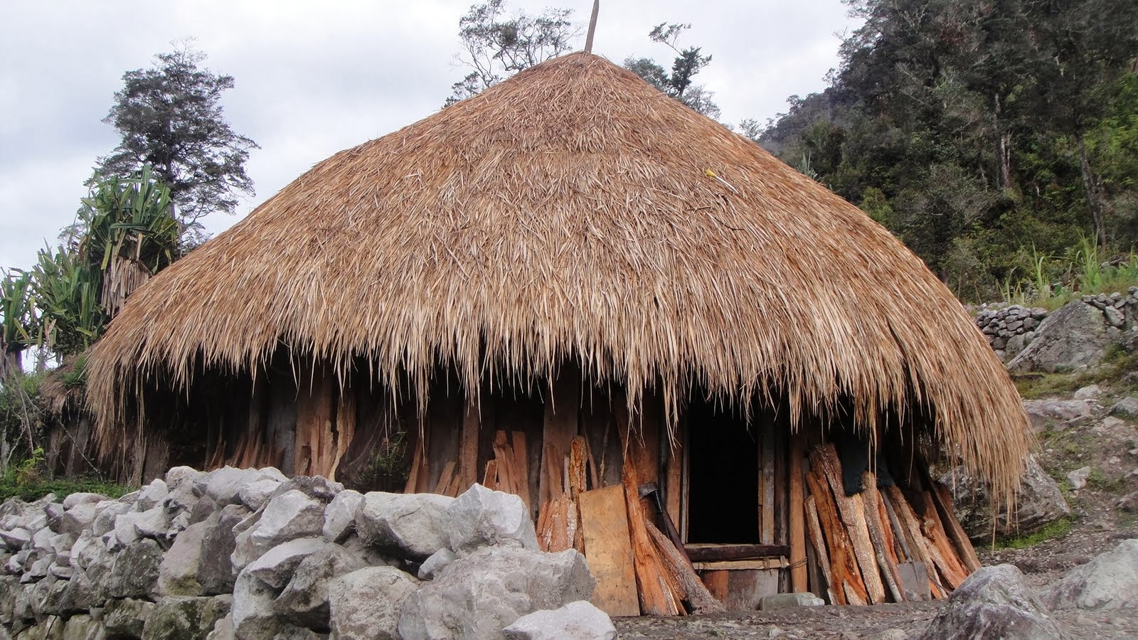 Download this Gambar Rumah Adat Papua Honai picture