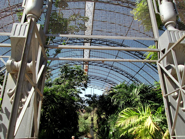 Un día de primavera en el Jardín Botánico de Valencia, abril 2014 - Paseos Fotográficos Valencia