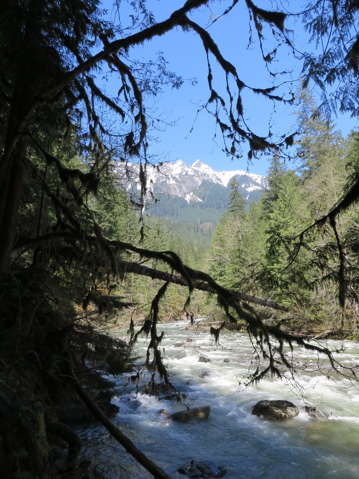 Exploring County & Beyond Horseshoe Bend Trail