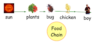 Technology @ Gattis: Food Chain in Kidspiration