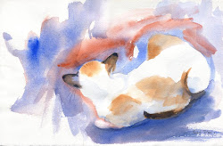 siamese cat watercolor painting winsor rachel studio