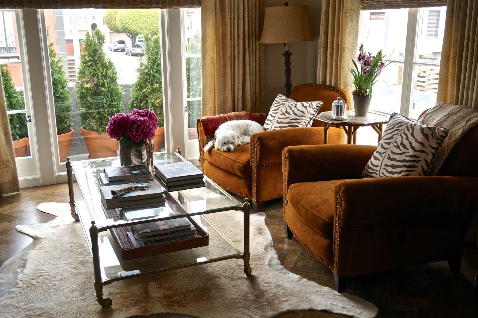 design The Living Room, San Francisco Style