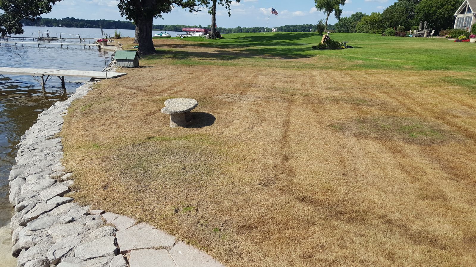 Lawn*Doctor Lawn Care Insights Flood Damaged Lawns