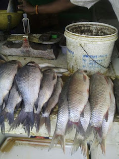 N.SHANMUGAM fish stall tirupati