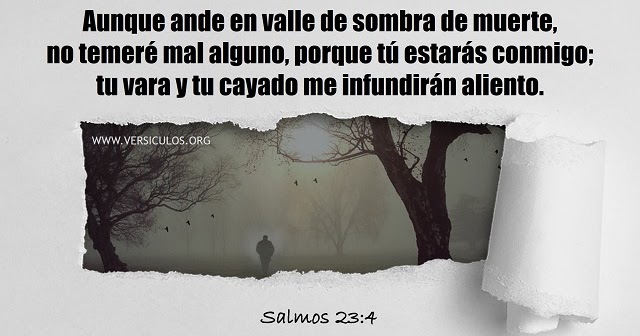 el cayado del pastor comprar el cayado del pastor comprar