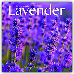 Lavender - Lavendel 2018: Original Avonside-Kalender [Mehrsprachig] [Kalender] (Wall-Kalender)