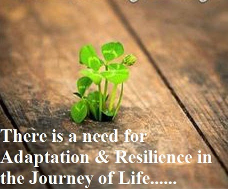 ME & MY THOUGHTS: 613. Life is a Balancing Act between Adaptation ...