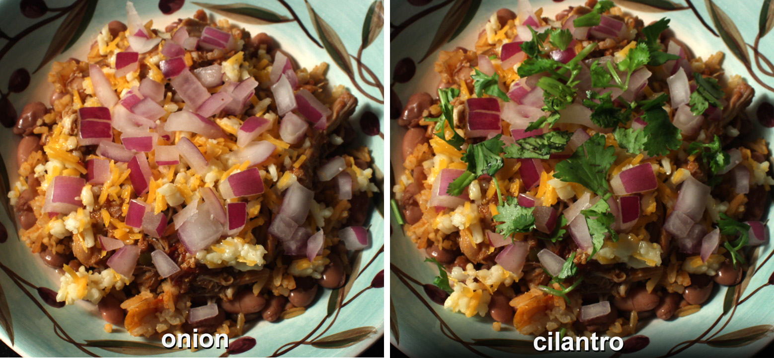 The 99 Cent Chef Chicken Tinga Bowl Leftovers Series