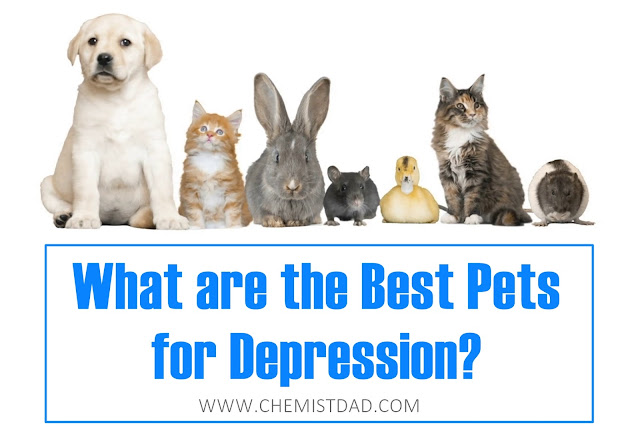 depression, health, mental health, depression treatments, pets, 