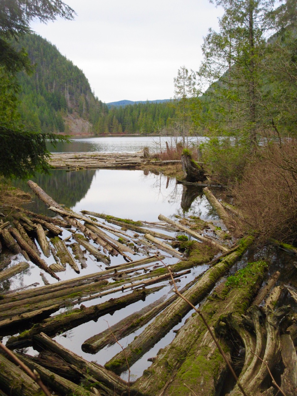 Fagin's Weather World Hike Washington Fagin's Hike of the Week