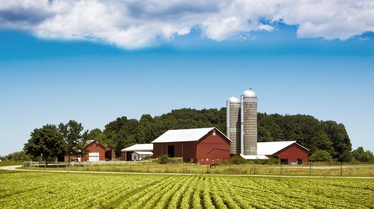 Progressive Charlestown: Donna Walsh gets economic advancement measures