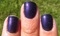 polish dog once designs honest opinion provided