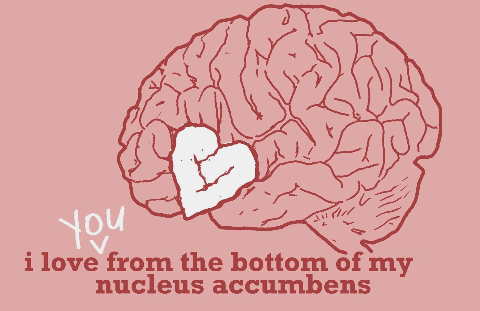 Random list of stuff from around the world... Brain Jokes