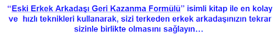 eski erkek arkadaşı geri kazanma formülü indir