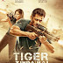 Tiger Zinda Hai 2017 Hindi 700MB DVDScr 720p HEVC