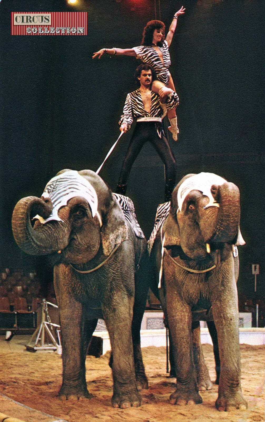 Circus -Collection: Les éléphants au cirque Knie 1980-1989