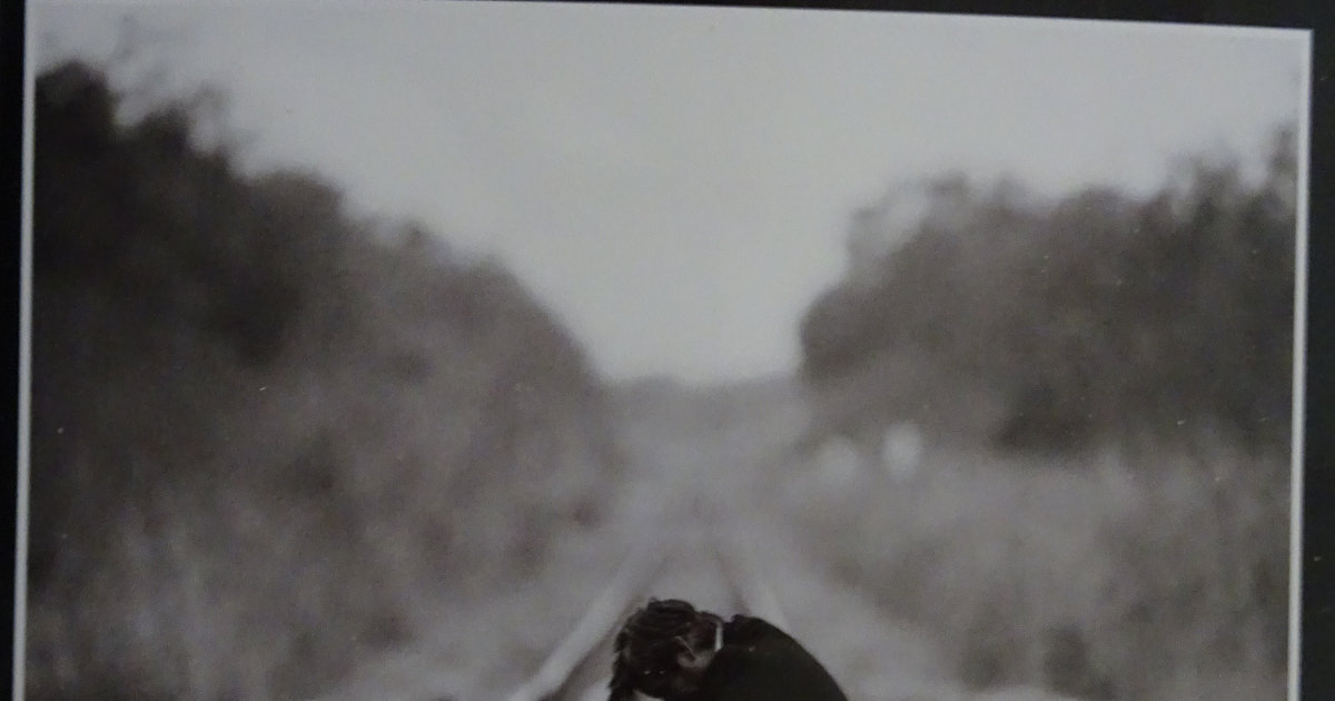 HAN GANADO LOS MALOS El hábito de leer novelas y el Pabellón de las